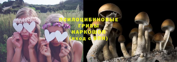 mix Дмитровск