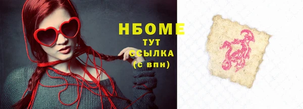 тгк Дмитриев