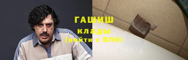 тгк Дмитриев