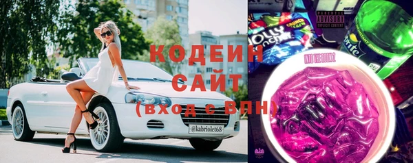 тгк Дмитриев