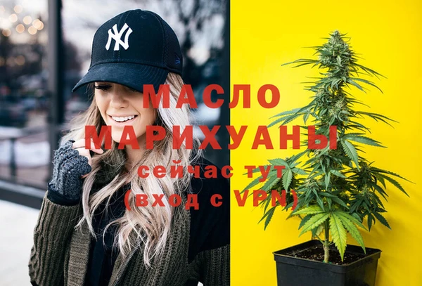тгк Дмитриев