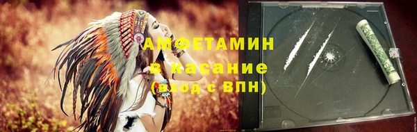 тгк Дмитриев