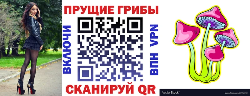 Купить где  Выборг  Псилоцибиновые грибы Magic Shrooms 