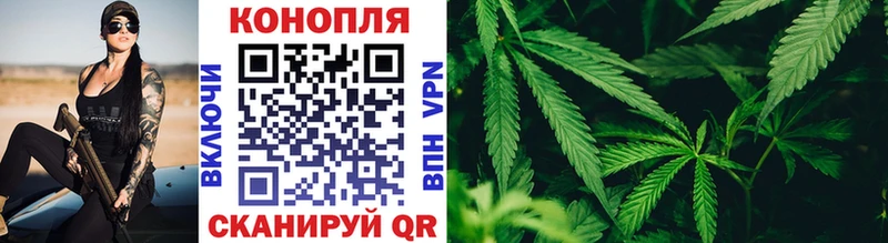 Шишки марихуана марихуана Купить где Выборг